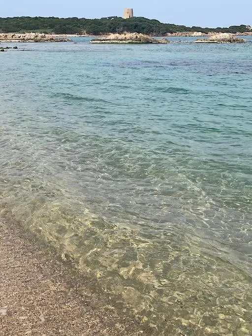 Villa Ester - A Sardinian Paradise Коста-Парадисо Италия